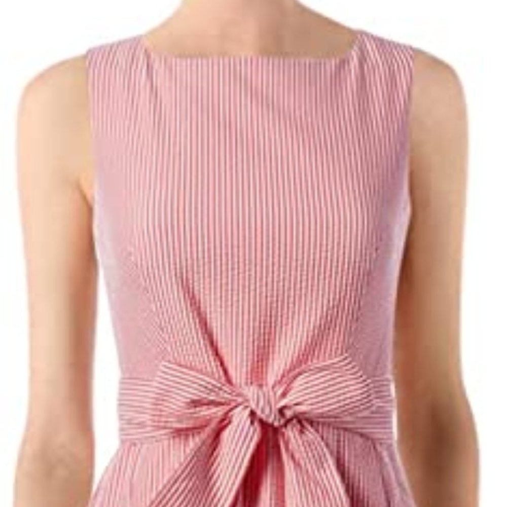 Anne Klein Fit and Flair dress ~ 10